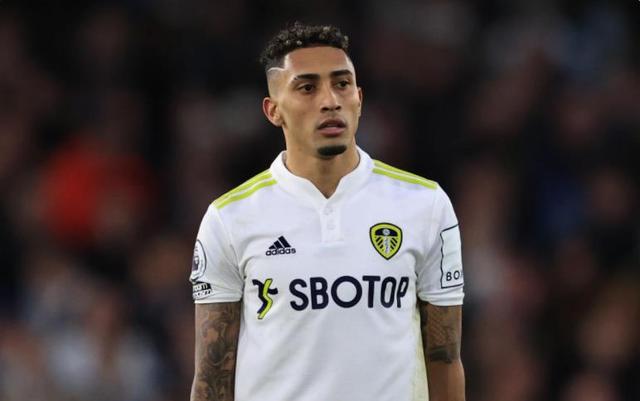 验丰富的球 验丰富的球