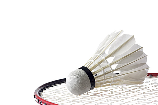 候选人的 候选人的